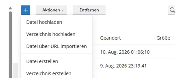 Ge&ouml;ffnetes Men&uuml; Hinzuf&uuml;gen im Plesk File Manager mit Datei hochladen, Verzeichnis hochladen, Datei &uuml;ber URL importieren, Datei erstellen und Verzeichnis erstellen