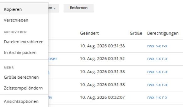 Aufgeklapptes Menue in Plesk mit dem Eintrag Groesse berechnen im Abschnitt MEHR